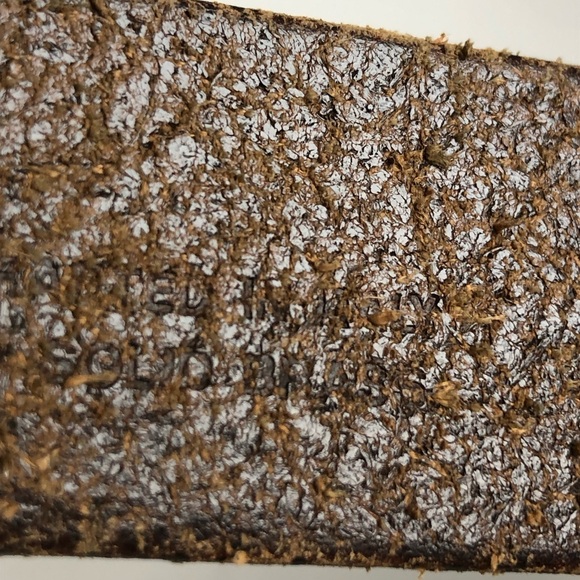 COACH Leather Belt with Brass Buckle - Picture 8 of 10